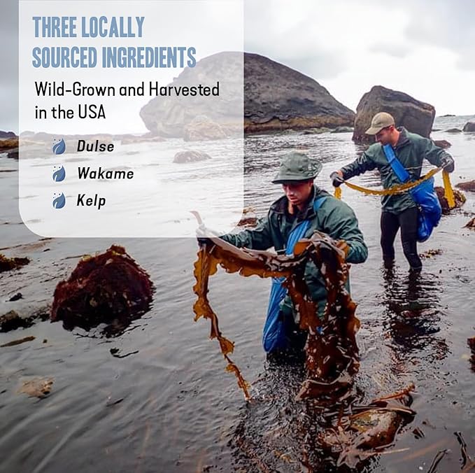 Dr. Cowan’s Garden Sea Vegetable - Pure Seaweed, Wild Harvested Atlantic Natural Seaweed & Kelp Powder, Healthy Supplement Powder - USA, Atlantic Dulse, Wakame, & Kelp - 20 Servings
