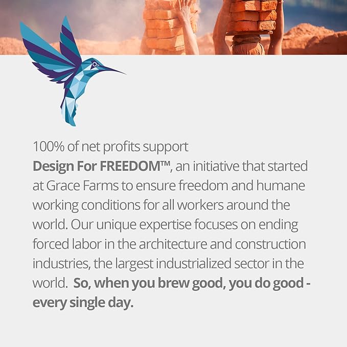 Grace Farms RISE Wellness Organic Tea Blend (100 Enveloped Pyramid Sachets w/ String & Tag) | Morning Energy & Focus | Earl Grey Crème with Adaptogenic Mushrooms and Ashwagandha | Fairtrade and Kosher | Gives Back 100% of Profits