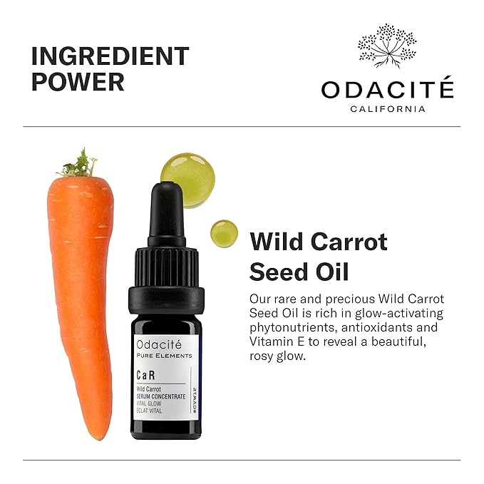 Odacité Brightening Serum Concentrate with Wild Carrot - for Natural Glow, Moisturizing Facial Serum for Skincare, or Skin Brightening - Lightweight Facial Oil for Dull Skin - 0.17 Fl. Oz
