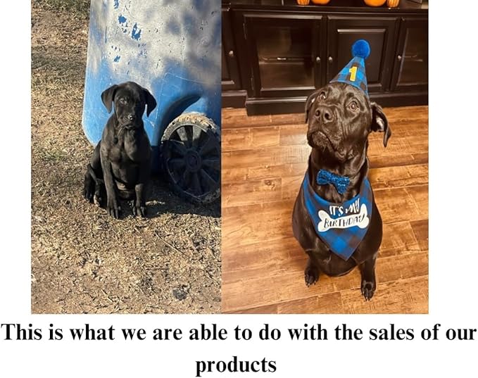 Sweet Grace Wax Melts - 4 Pack of Hand-Poured Luxury Fragrance Melts with Passion Fruit, Tea, and Patchouli Notes - Long-Lasting Scent - Supports Animal Rescue Efforts