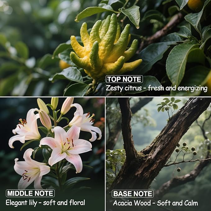 Luxury Diffuser Oil – Uplifting Citrus, Soft Florals & Warm Wood Aromatherapy Premium Fragrance Oil for Ultrasonic and Waterless Diffusers 2‑Pack (2 × 0.34 fl oz)-“24K Magic”Scent