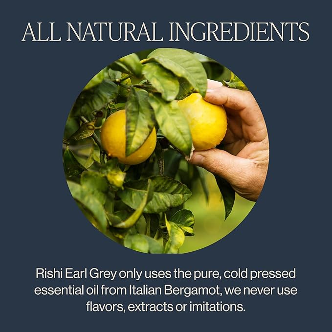 Rishi Tea Earl Grey Tea - Organic Sachet Tea Bags, Pure Black Tea with Bergamot Oil, Energizing & Caffeinated - 15 Count (Pack of 6)