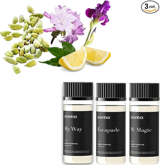 Scentia My Way Hotel Diffuser Oil | Aromatherapy Fragrances Inspired by 5-Star Hotels | Luxurious Scents Gift Box Set - 3 x 50ml Bottles Set - The 1 Hotel Miami Beach, W Magic