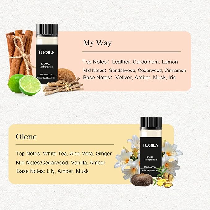 Waterless Diffuser Essential Oil Set(6X 20mL), Hotel Luxury Aroma Scent Oil My Way, Olene, Pumpkin Cream,Winter Pine,Usage Cold Air Diffuser Aromatherapy for Home Home, Office, Car