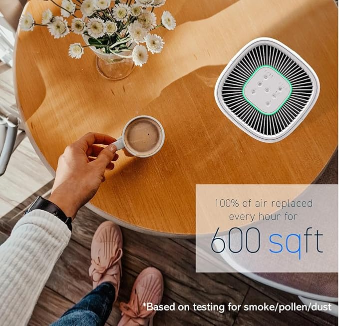 HATHASPACE HSE600 True HEPA Air Purifier for Home, Removes 99.9% of Dust, Smoke, Pet Dander, Odors, VOCs, Covers Up to 600 Sq. Ft, Quiet Air Cleaner with Smart Sensor for Bedroom & Large Rooms