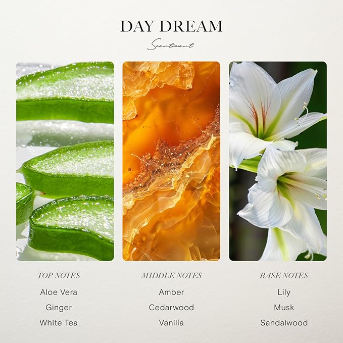 Scentiment Diffuser Oil - Day Dream | Inspired by Westin® Hotel White Tea Scent | Aromatherapy Home Fragrance| Luxurious Scent with Notes of Aloe Vera, Cedar, White Tea (50ml)