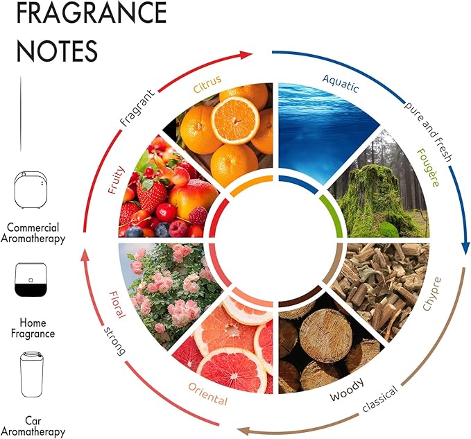 Hotel Scent Diffuser Oil - Paris Girl - Aroma Essential Oil Blends for Aromatherapy Diffuser Machine, Cedarwood, Elevate Large Room with Air Fresheners - 5.3fl oz