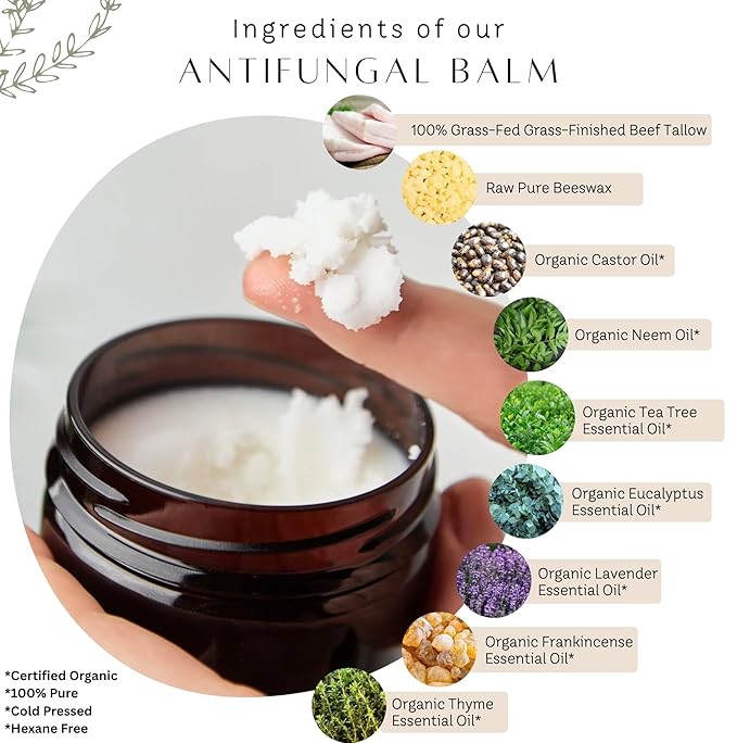 Tallow Antifungal Balm | Organic Tea Tree Oil Balm with Grass-Fed Tallow | Non-Toxic Itchy Skin Relief Balm | All Natural Remedy for Athletes Foot, Jock Itch, Ringworm | 2 FL. oz.