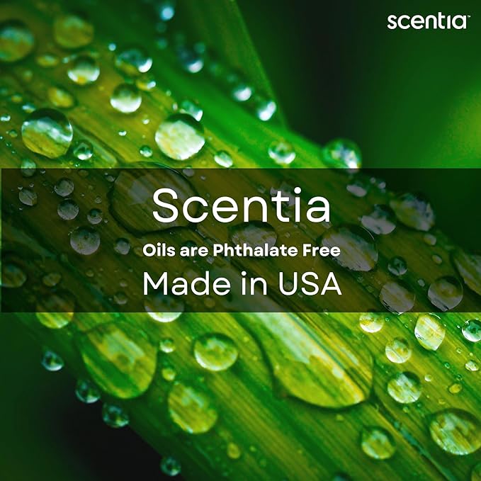 Fierce-Inspired Diffuser Oil - Scentia You Fragrance Oil Perfume Dupe - 20mL, 0.67 Fl oz Diﬀusers and Humidifiers - A and F Inspired Essential Scented Oil - Best for Aromatherapy, Mothers Day Gift