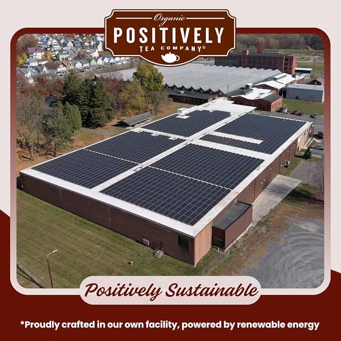 Organic Positively Tea Company, Winter Apple Cider Rooibos Tea, Loose Leaf, 4 Ounce