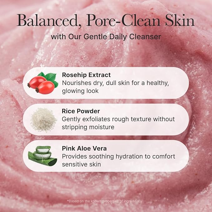 Fresh Rosehip Rice Mochi Cleanser