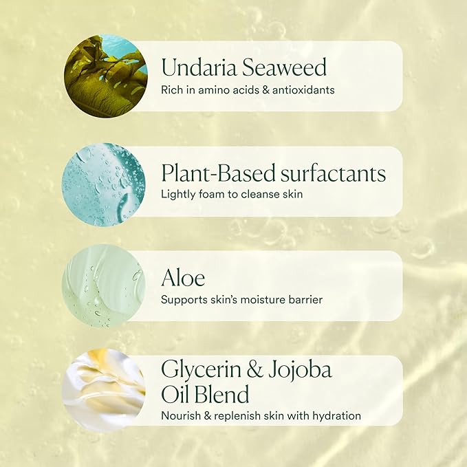 OSEA Undaria Algae™ Body Wash - pH Balanced - Hydrating & Moisturizing Citrus Scented Cleanser - Clean, Vegan, Non-Toxic Skincare - 8oz