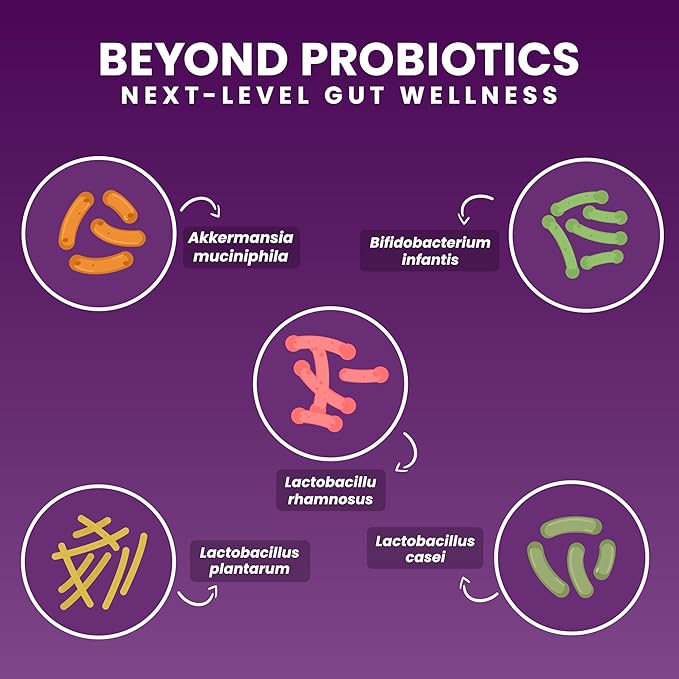 Chewable Akkermansia Probiotic and Prebiotic Supplement NOVO 2.0 with HMO, Supports Gut and Oral Microbiome, Supplements for Digestive Health and Skin Vitality, Targeted Delivery, 30 Tablets