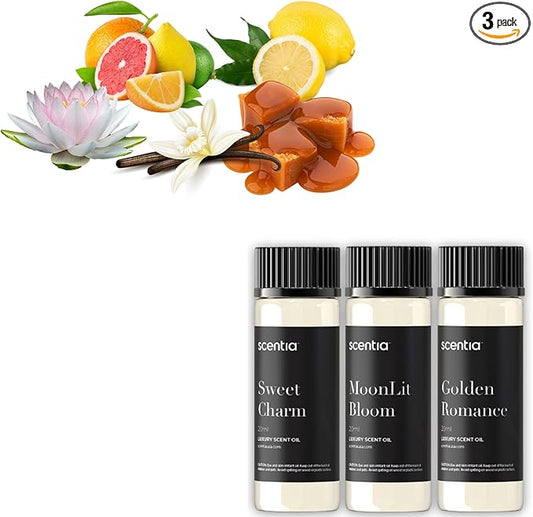 Love Collection Fragrance Oil Set – Essential Oil Blends for Diffusers, Candles & Soaps – Jasmine, Rose, Citrus, Amber & Musk – Made in USA, Phthalate-Free – Holiday Gift Set 3×20ml (2.03 fl oz)