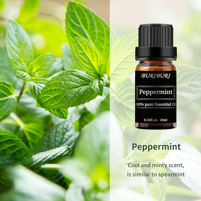 BURIBURI Peppermint Essential Oil 100% Pure, Undiluted, Natural, Organic Aromatherapy Mint Essential Oils 10ML for Diffuser, Soap Candle Making