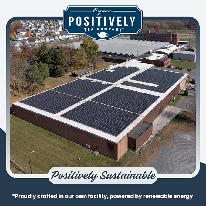 Organic Positively Tea Company, Darjeeling Black Tea, Loose Leaf, 16 Ounce