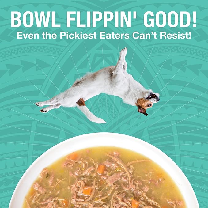 KOHA Pure Shreds Duck Entrée for Dogs, 12.5oz Cans (Pack of 12)