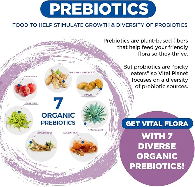 Vital Planet - Vital Flora Probiotics for Women 60 Billion CFU, Diverse Strains, Daily Shelf Stable Probiotic with Organic Prebiotics, for Vaginal Support, Immune and Digestive Health 60 Capsules
