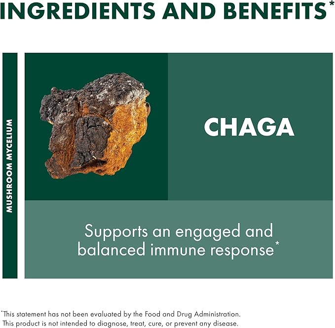 Host Defense Chaga Capsules - Immune System Support Supplement - Chaga Mushroom Capsules for Antioxidant Activity Support - Dietary Mushroom Supplement - 60 Capsules (30 Servings)*