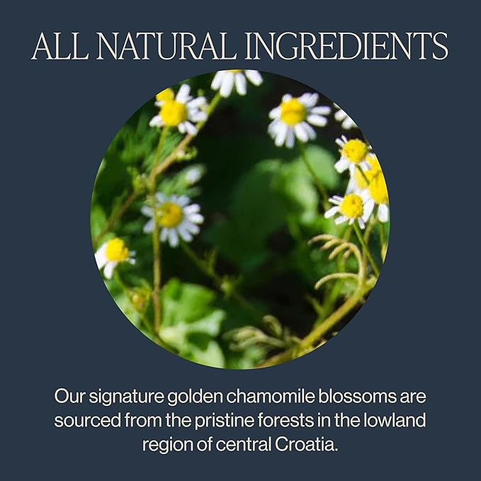 Rishi Tea Chamomile Medley Herbal Tea - Organic, Caffeine Free Direct Trade Sachet Bags, Calming Chamomile Flowers with Lemon Verbena & Mint - 50 Count