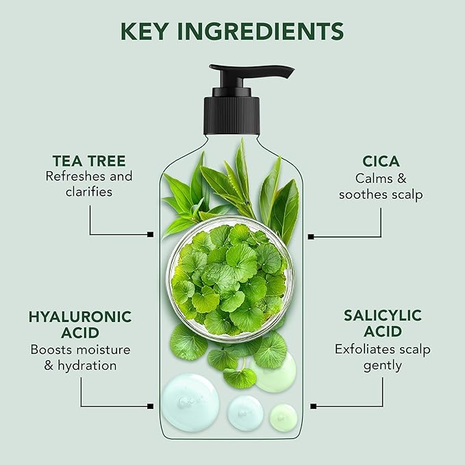 Botanic Hearth Tea Tree Shampoo Infused With Cica, Hyaluronic Acid & Salicylic Acid | Clarifying Shampoo To Repair, Restore & Strengthen Hair | Paraben & Sulfate Free | For All Hair Types, 16 Fl Oz