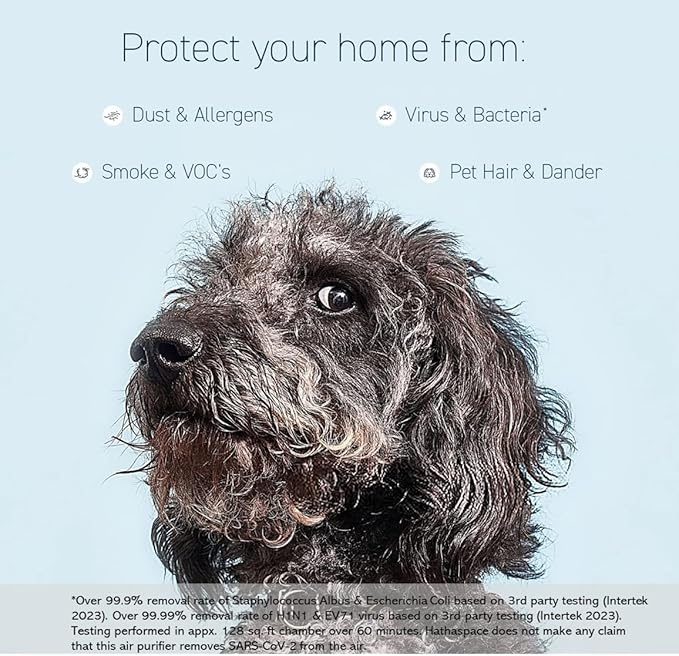 HATHASPACE HSE600 True HEPA Air Purifier for Home, Removes 99.9% of Dust, Smoke, Pet Dander, Odors, VOCs, Covers Up to 600 Sq. Ft, Quiet Air Cleaner with Smart Sensor for Bedroom & Large Rooms