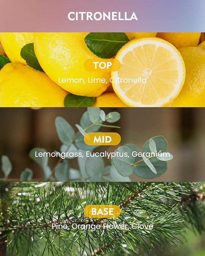 M&SENSE Citronella Scented Candle,11.6oz Natural Non Toxic Soy Wax for Home, 3 Wick Jar Candle, Up to 60 Hours Burn time, Home Decor Birthday Gifts for Women and Men