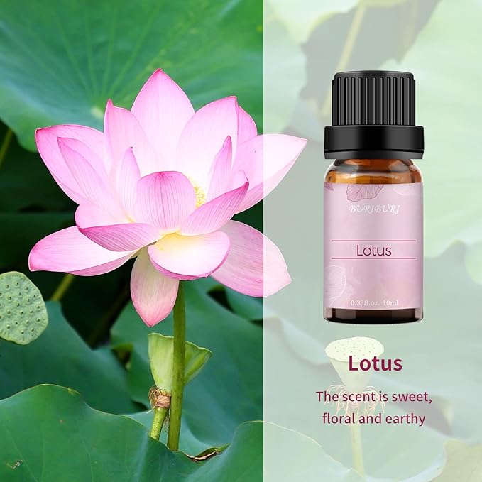 BURIBURI Lotus Essential Oil 100% Pure, Undiluted, Natural, Organic Aromatherapy Lotus Oils 10ML for Diffuser Soap Candle Making Home