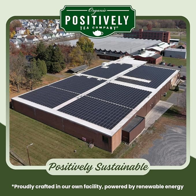 Positively Tea Company, Organic Spearmint Green, Green Tea, Loose Leaf, USDA Organic, 1 Pound Bag