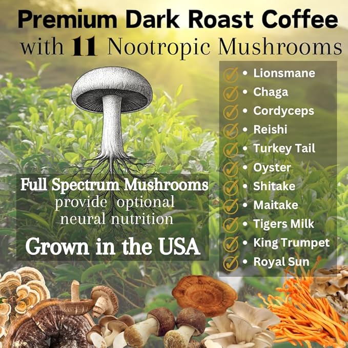 Ohmyes 11 Mushroom Coffee with Cacao – 11 USA Grown Adaptogenic Mushrooms for Focus, Clarity & Energy – Lion’s Mane, Reishi, Chaga + Nootropic Organic Superfood by OhmYes (7oz) - 99 Servings
