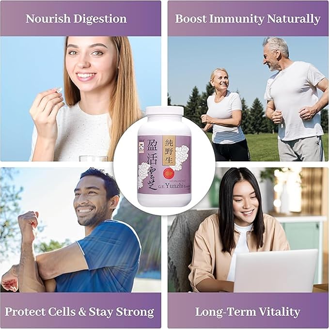 Turkey Tail Mushroom Capsules – Yunzhi Essence for Recovery, Health, and Wellness – Daily Immune and Digestive Support with Antioxidants – Pure Beta-Glucan Extract from Fruiting Bodies (10 Capsules)