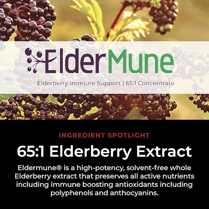 Herbal Immunity Tea - Immune System Booster - 100mg High- Potency Elderberry, 50mg Echinacea, Lemon, & Ginger Organic Herbal Tea Bags - Caffeine Free Immunity Boost
