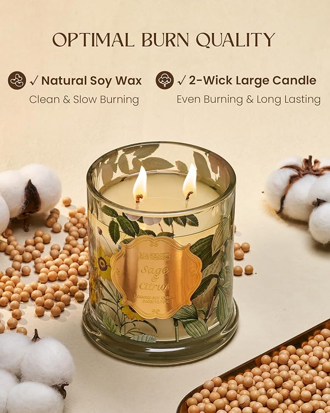 M&SENSE Sage Citrus Scented Candles, Natural Organic Soy Candle 12.7oz 75H Long Lasting Slow Burning, 2 Wick Large Jar Candle Stress Relief Air Purifying, Gifts for Men Women Father