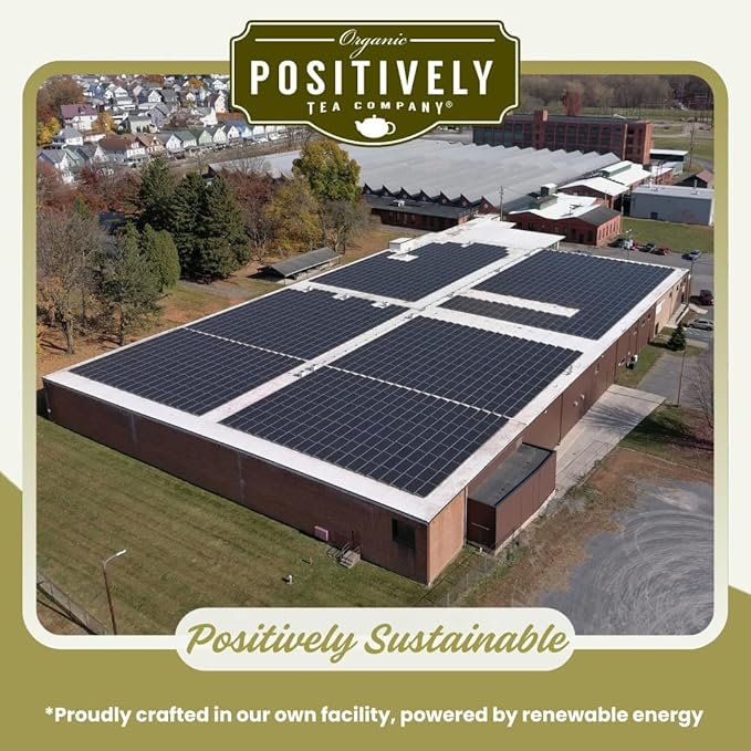 Organic Positively Tea Company, Yerba Mate Tea Bags (Unsmoked), 20 Count