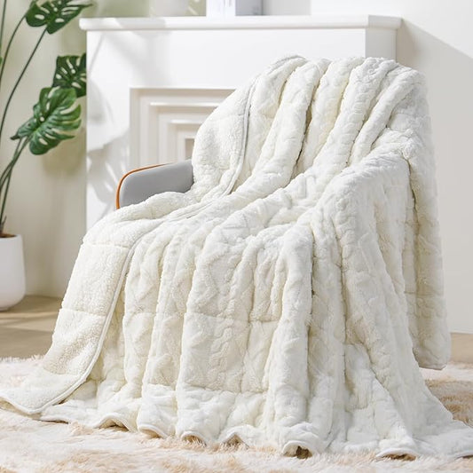 Super Fuzzy Soft Sherpa Fleece Weighted Blanket, 20 lbs Dual Sided Fluffy Heavy Weighted Blankets for Adults - No Bunching with Double Layers of Soft Inner Lining (60"x 80", 20 Pounds)