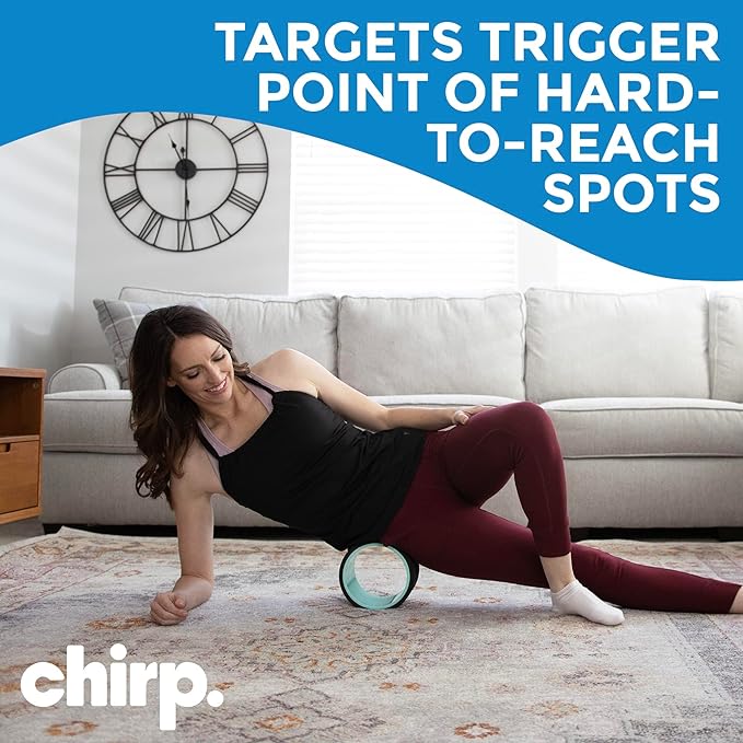 Chirp Wheel Foam Roller – Targeted Back & Neck Relief, Lumbar Spine Stretcher, Spinal Decompression Back Stretcher, Massage Roller with Density Foam for Physical Therapy, Supports 500lbs, 6-Inch Mint