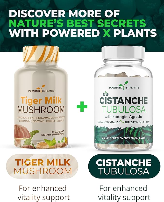Tiger Milk Mushroom Supplement - 500mg Per Capsule with 50% Beta-Glucan - Supports Respiratory Function, Cognitive Clarity, Digestive Balance & Immune Wellness - 60 Count