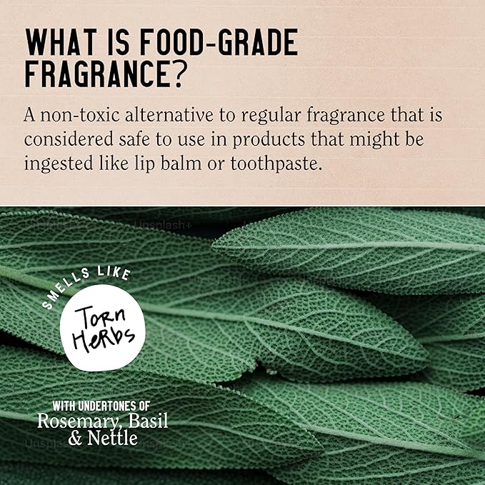 California Naturals Mens Re:GRO Conditioner for Hair Growth Support, Scalp Hair Care with Biotin, All Hair Types, Vegan, Natural, Cruelty Free, Silicone, Paraben & Sulfate Free, for Men, 16.5 oz