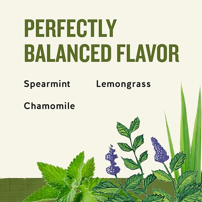 Celestial Seasonings Herbal Tea, Sleepytime, 20 Count