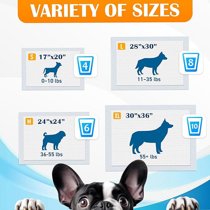 Paws & Claws Premium Disposable Dog & Puppy Pee Pads, Large 28"x30", 40-Count – 6-Layer Leak-Proof, (Holds 8 Cups), Super Absorbent & Odor Control for Large Dogs, Seniors & Multi-Pet Homes