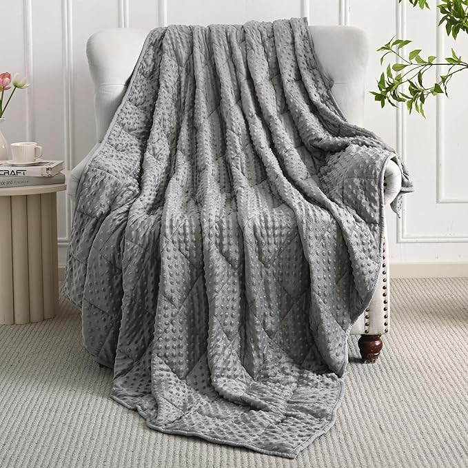 Mr. Sandman Weighted Blanket for Adults Queen, Minky Dots Heavy Blanket for Woman,Man Sleeping/Calm, Soft, Cozy and Cooling Weighted Throw Blankets, Machine Washable, 80 x 87in, 25 Pounds, Grey