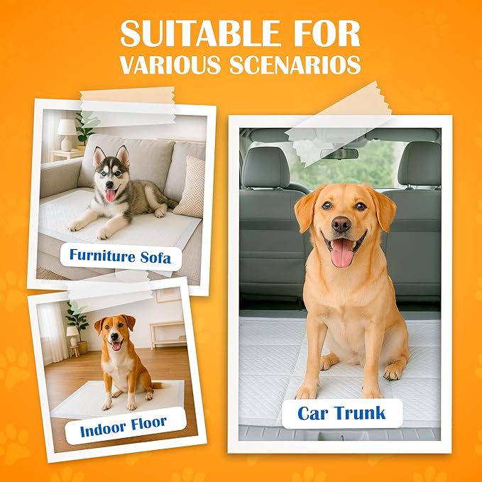 Paws & Claws Premium Disposable Dog & Puppy Pee Pads – Small 17"x20", 50 Count – 6-Layer Leak‑Proof, Super Absorbent (Holds 4 Cups), Quick‑Drying – for Small Dogs, Puppies, Seniors & Potty Training