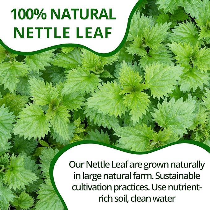 VIDA FARM 125 Nettle Tea Bags, 100% Natural Nettle Leaf Tea, Dried Stinging Nettle Tea, Stinging Nettle Leaf Herbal Tea, No Caffeine, No Sugar, No Gluten, Vegan