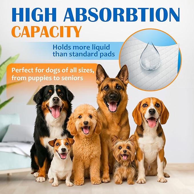 Paws & Claws Premium Disposable Dog & Puppy Pee Pads – Extra Large 30"x36", 30-Count – 6-Layer Leak-Proof, Super Absorbent (Holds 10 Cups), Odor Control, Quick-Dry, Non-Slip for Large Dogs, Multi-Pet