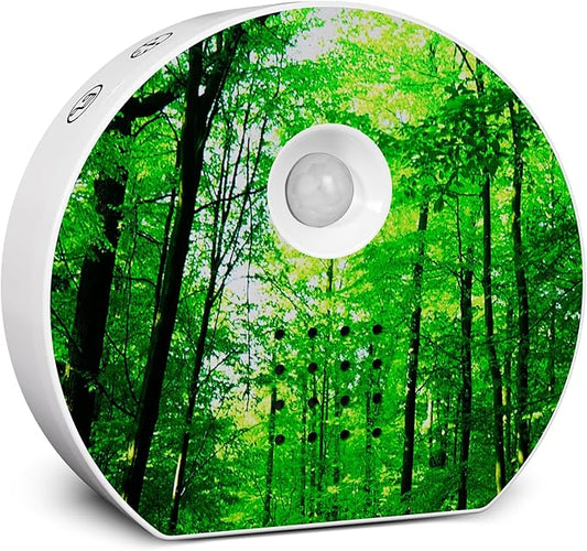 Bird Chirping Sound Box for Bathrooms: Singing Bird Box Motion Sensor for Interiors - Relaxing Nature Birdybox Singing Bird Sounds Device for Hallway Office Living - Green