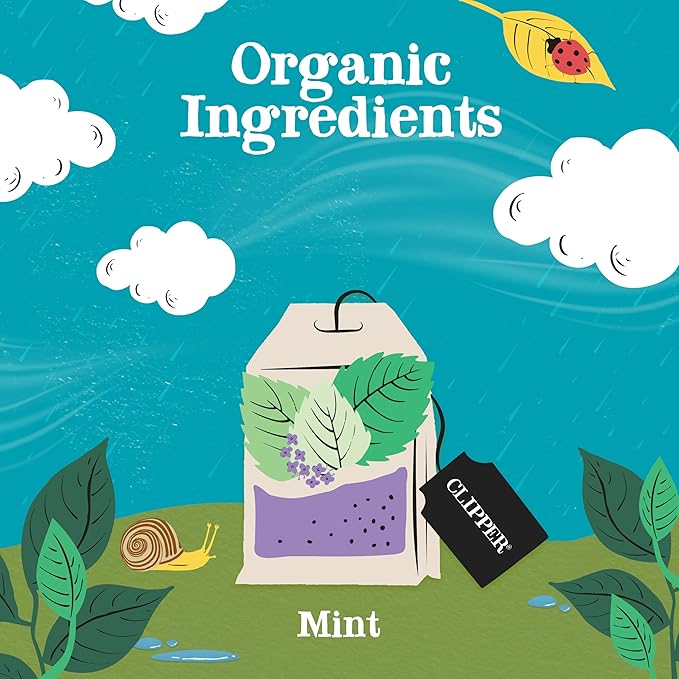 Clipper Tea Mint Herbal Teabags – Caffeine Free, USDA Organic, Great Hot or Iced – Refreshing, Natural, Fair & Delicious – 200 Tea Bags