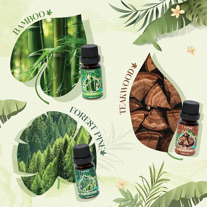 Woodland Fragrance Oils Set, Essential Oil Gift Set for Diffuser, Woody Scent Diffuser Oil, Diffuser Scents Oil for Home - Forest Pine, Teak, Bamboo, Fresh Soil, Fallen Leaves, Fresh Air