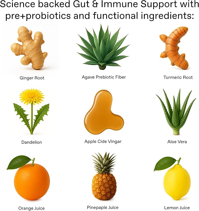 +GNGR Gut Health Booster + Colon Cleanse & Debloat, Less Cravings, Organic Ginger Shot with Apple Cider Vinegar, Aloe Vera, Pre+Probiotics, Turmeric. Immunty & Digestion. 2 fl oz (Pack of 12)