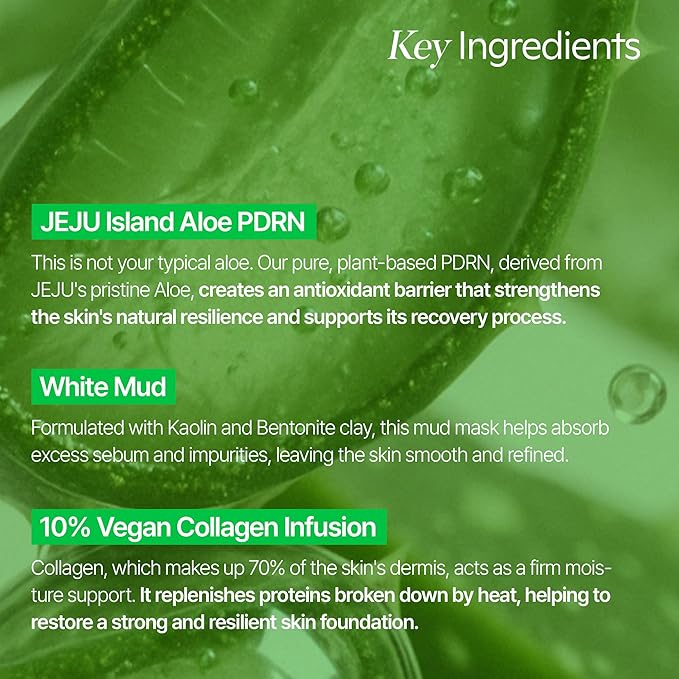 shaishaishai ALOE PDRN Cooling Mud Face Mask, Vegan Collagen Cream Clay Mask with Kaolin & Bentonite, Hydrating & Pore Care, Instant Cooling, Korean Skincare, 3.38 Fl Oz