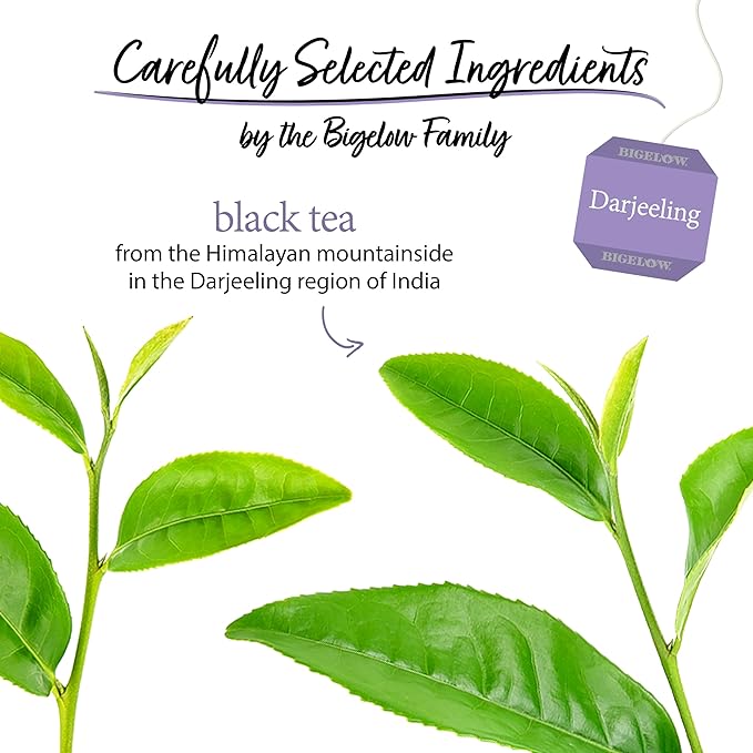 Bigelow Tea Darjeeling Black Tea, Caffeinated Tea, 20 Count Box (Pack of 6), 120 Total Tea Bags